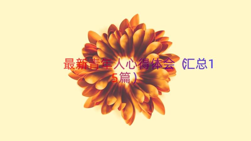 最新青年人心得体会（汇总15篇）