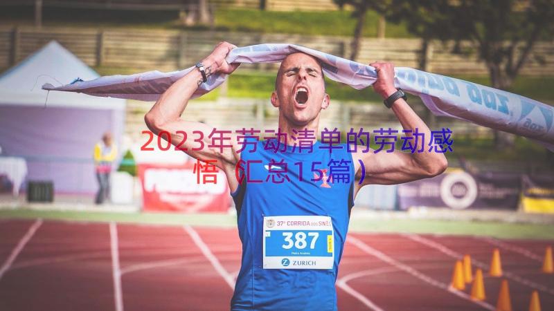 2023年劳动清单的劳动感悟（汇总15篇）