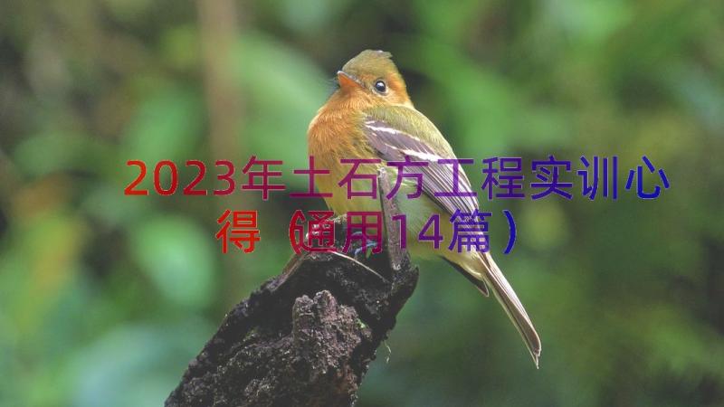 2023年土石方工程实训心得（通用14篇）