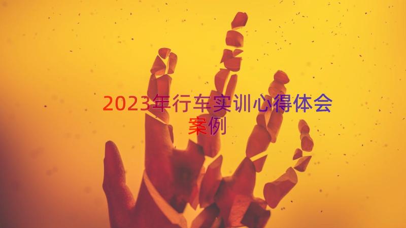 2023年行车实训心得体会（案例14篇）