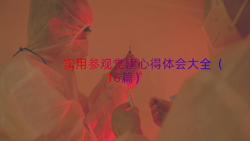 实用参观党建心得体会大全（16篇）