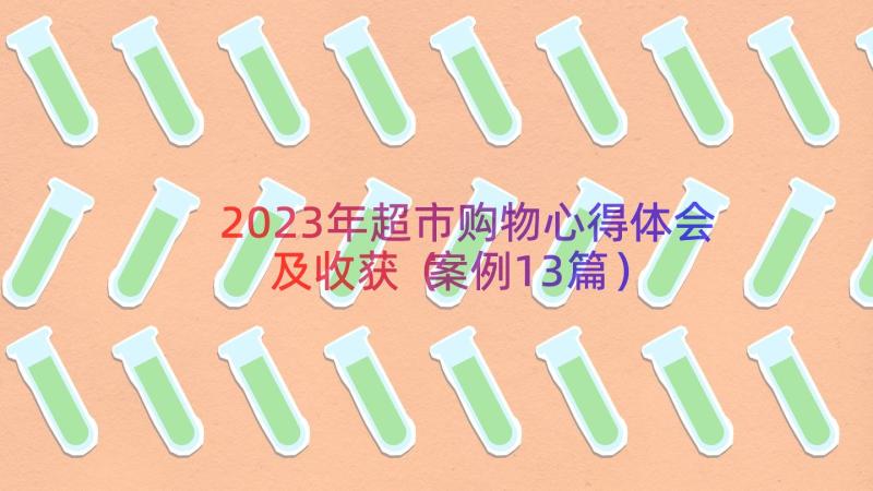 2023年超市购物心得体会及收获（案例13篇）