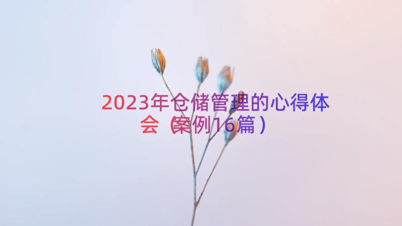 2023年仓储管理的心得体会（案例16篇）