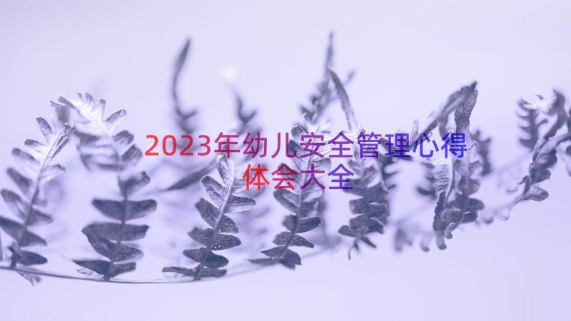 2023年幼儿安全管理心得体会大全（15篇）