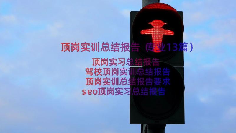 顶岗实训总结报告（专业13篇）