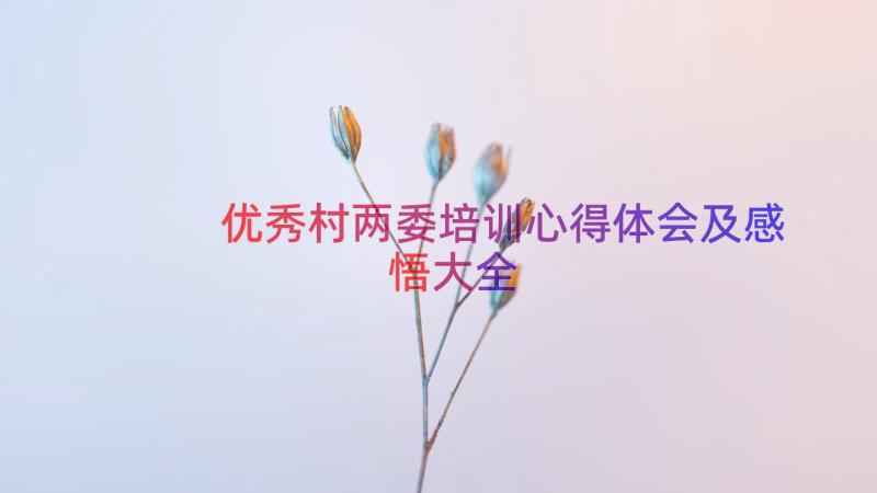 优秀村两委培训心得体会及感悟大全（14篇）