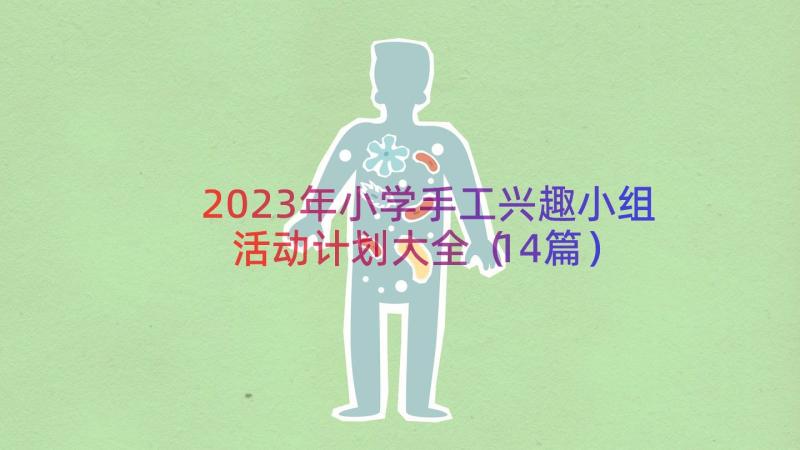 2023年小学手工兴趣小组活动计划大全（14篇）