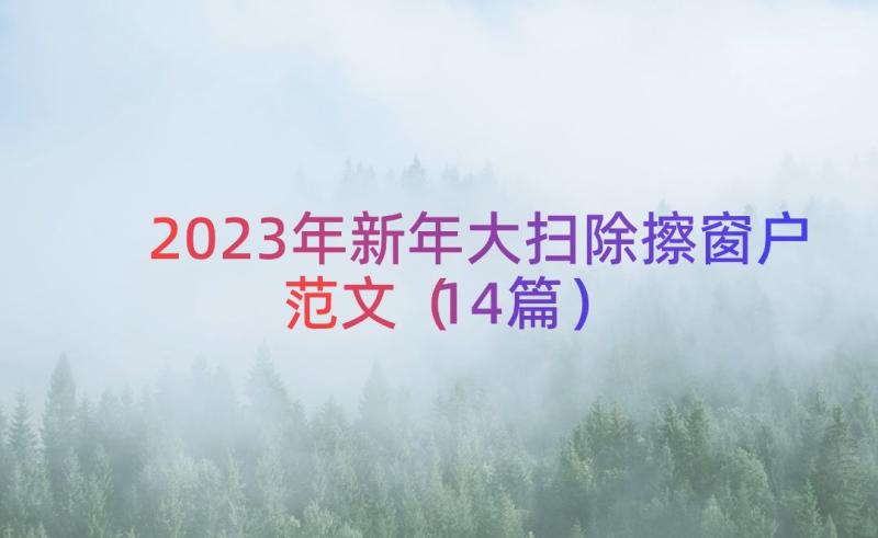 2023年新年大扫除擦窗户范文（14篇）