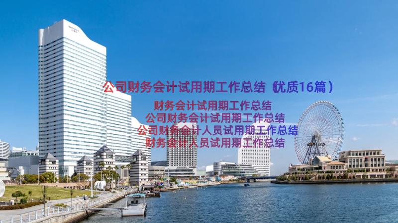 公司财务会计试用期工作总结（优质16篇）