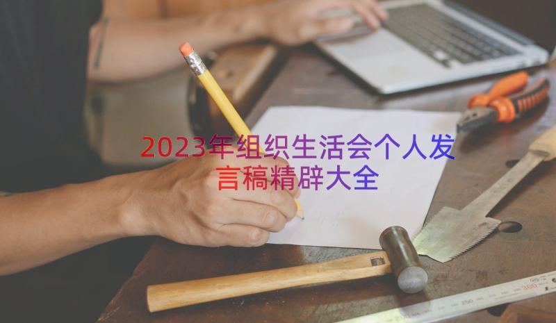 2023年组织生活会个人发言稿精辟大全（17篇）