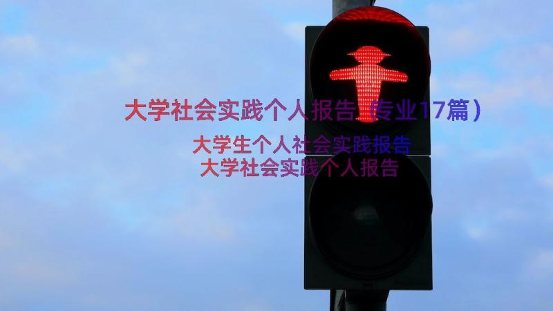 大学社会实践个人报告（专业17篇）