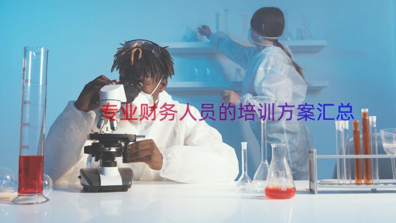 专业财务人员的培训方案（汇总17篇）