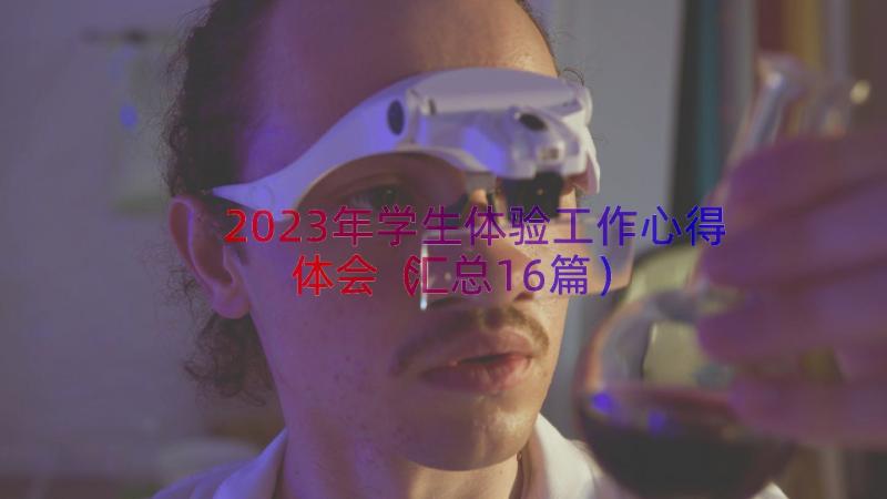 2023年学生体验工作心得体会（汇总16篇）