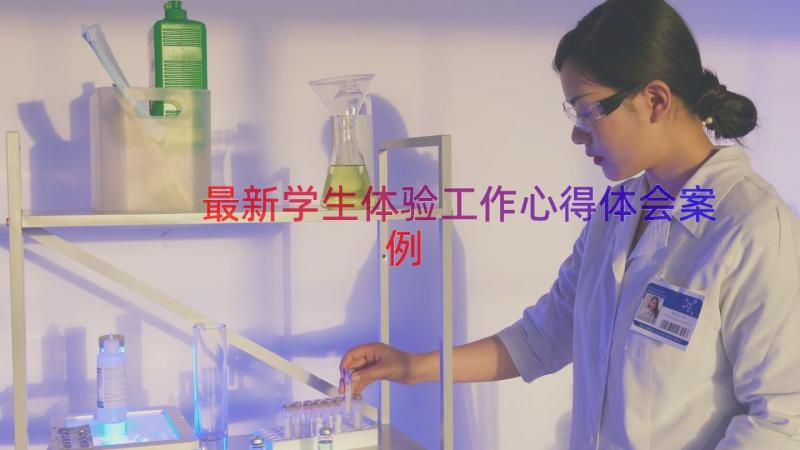 最新学生体验工作心得体会（案例17篇）