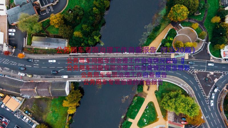 公务用车专项治理工作自查报告（专业20篇）