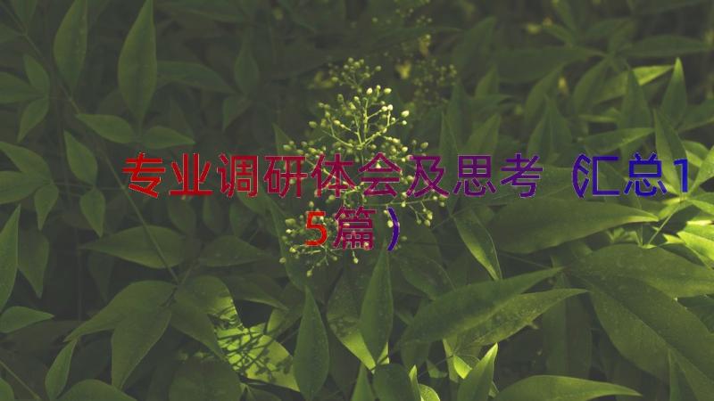 专业调研体会及思考汇总