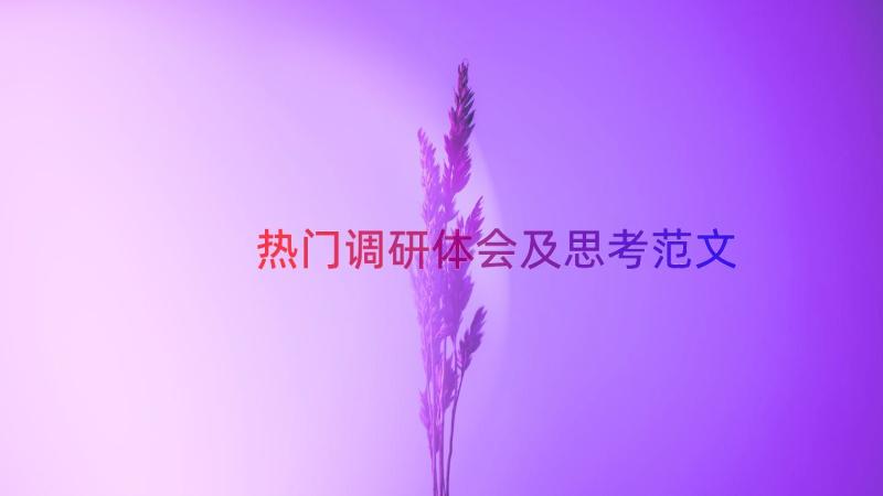 热门调研体会及思考范文（17篇）