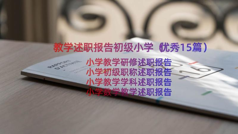 教学述职报告初级小学（优秀15篇）