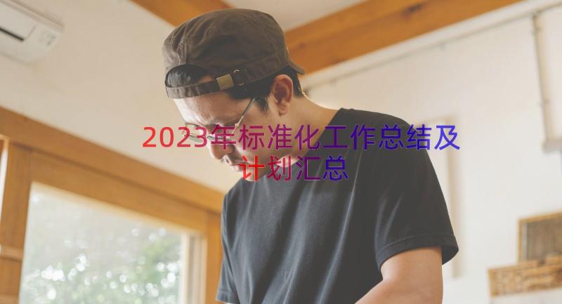 2023年标准化工作总结及计划（汇总12篇）