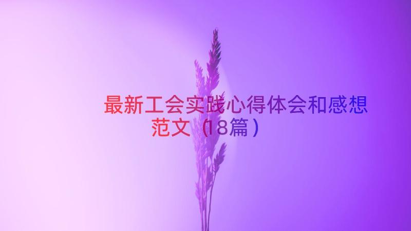 最新工会实践心得体会和感想范文（18篇）