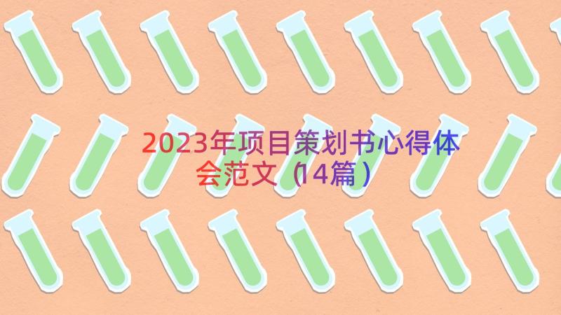 2023年项目策划书心得体会范文（14篇）