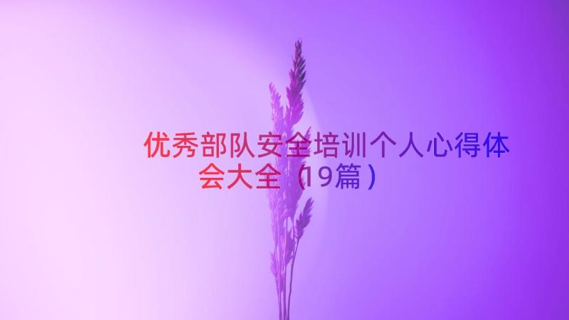 优秀部队安全培训个人心得体会大全（19篇）