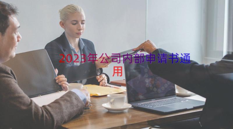 2023年公司内部申请书（通用14篇）