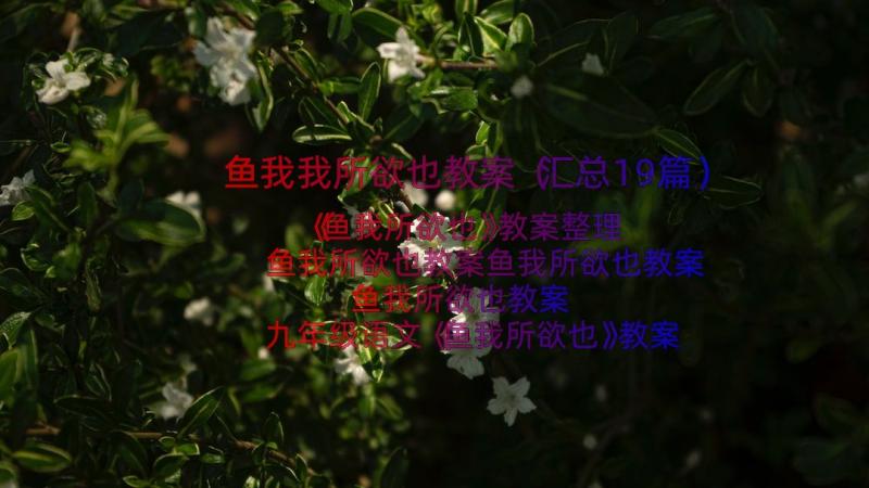 鱼我我所欲也教案（汇总19篇）