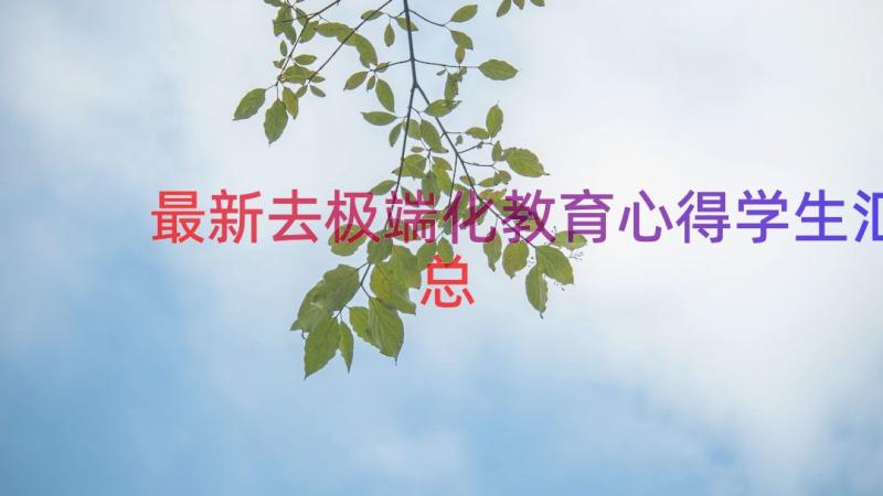 最新去极端化教育心得学生（汇总13篇）