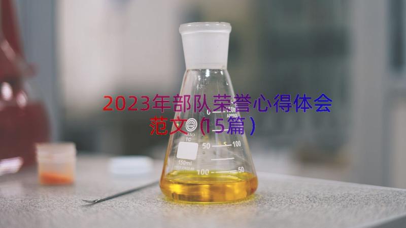 2023年部队荣誉心得体会范文（15篇）