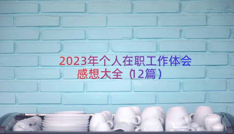 2023年个人在职工作体会感想大全（12篇）