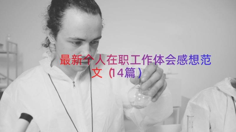 最新个人在职工作体会感想范文（14篇）