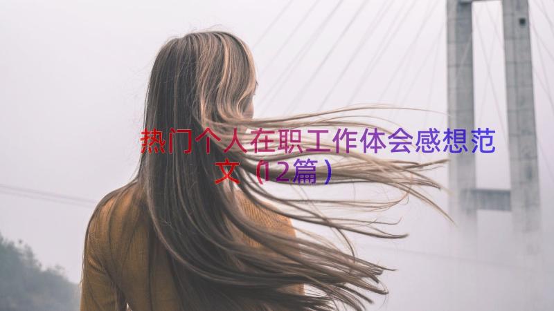 热门个人在职工作体会感想范文（12篇）