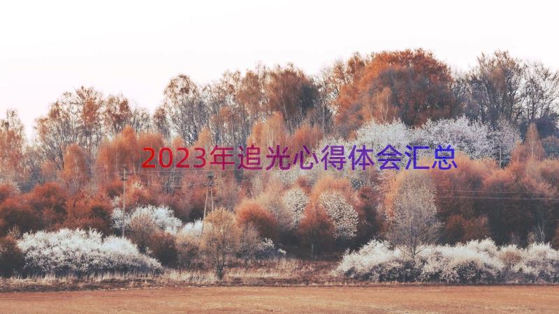 2023年追光心得体会（汇总15篇）