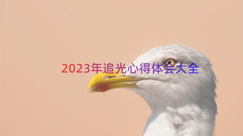 2023年追光心得体会大全（15篇）