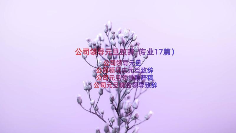 公司领导元旦致辞（专业17篇）