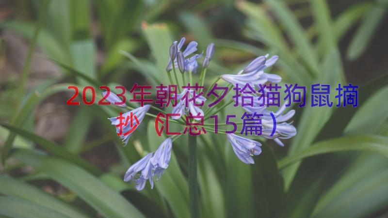 2023年朝花夕拾猫狗鼠摘抄（汇总15篇）