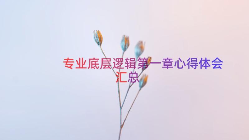 专业底层逻辑第一章心得体会（汇总16篇）