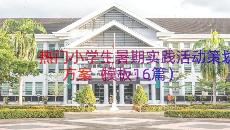 热门小学生暑期实践活动策划方案模板