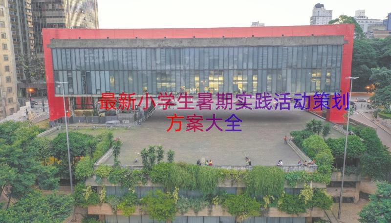 最新小学生暑期实践活动策划方案大全（17篇）