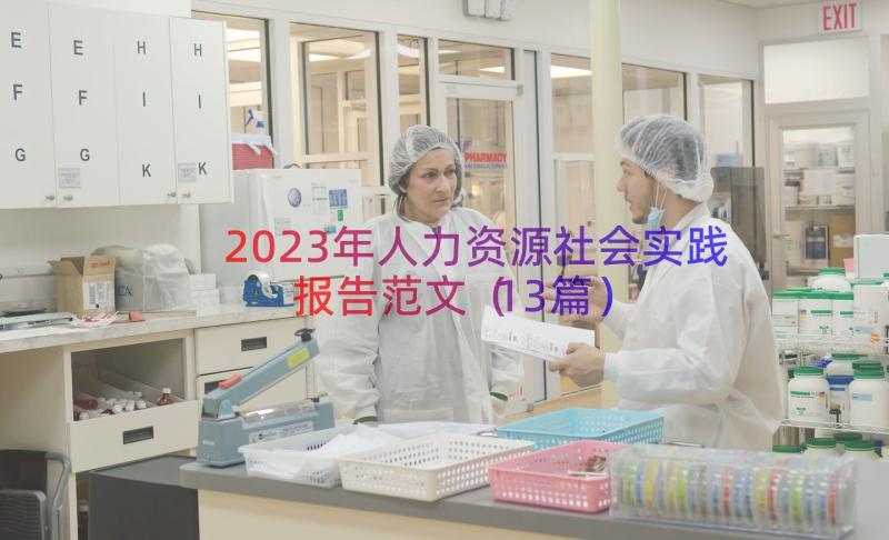 2023年人力资源社会实践报告范文（13篇）