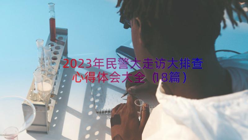 2023年民警大走访大排查心得体会大全（18篇）