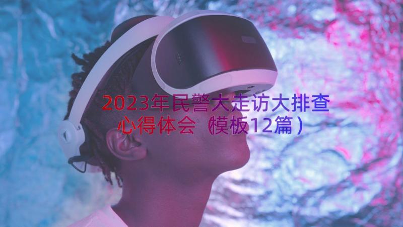 2023年民警大走访大排查心得体会（模板12篇）