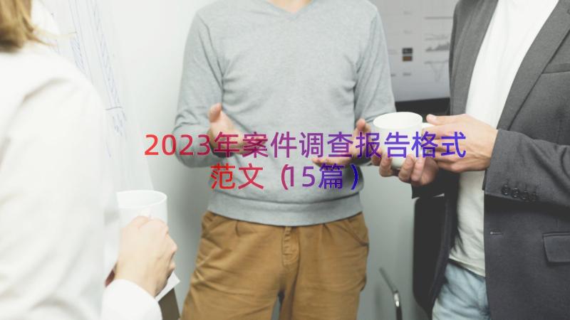 2023年案件调查报告格式范文（15篇）