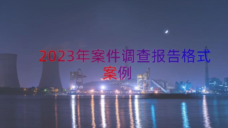 2023年案件调查报告格式（案例13篇）