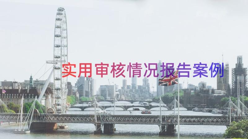 实用审核情况报告（案例15篇）