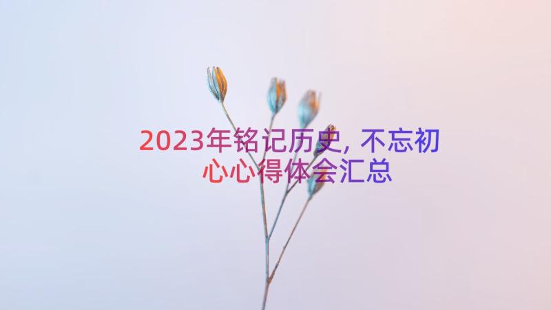 2023年铭记历史,不忘初心心得体会（汇总19篇）