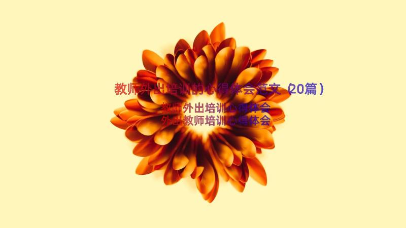 教师外出培训的心得体会范文（20篇）