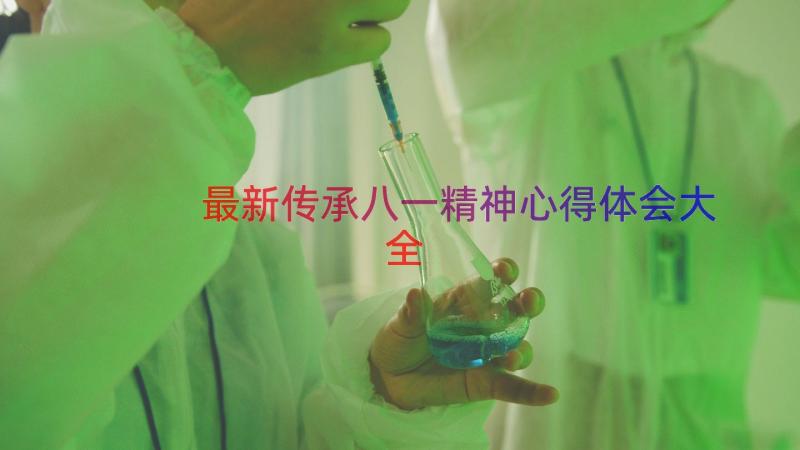 最新传承八一精神心得体会大全（14篇）