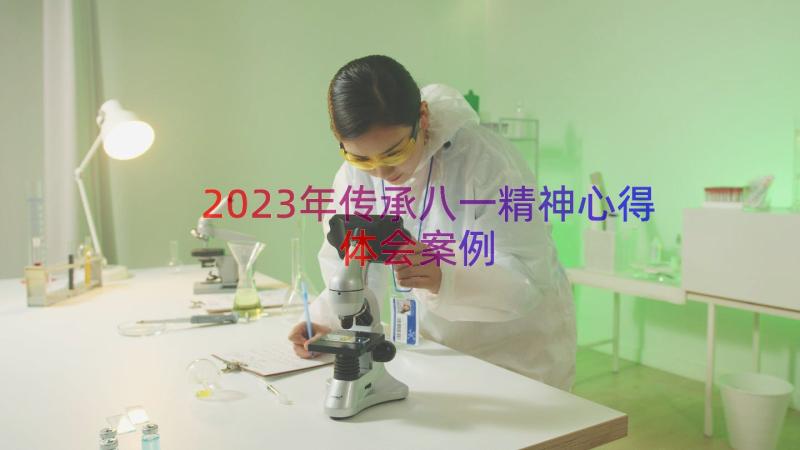 2023年传承八一精神心得体会（案例13篇）